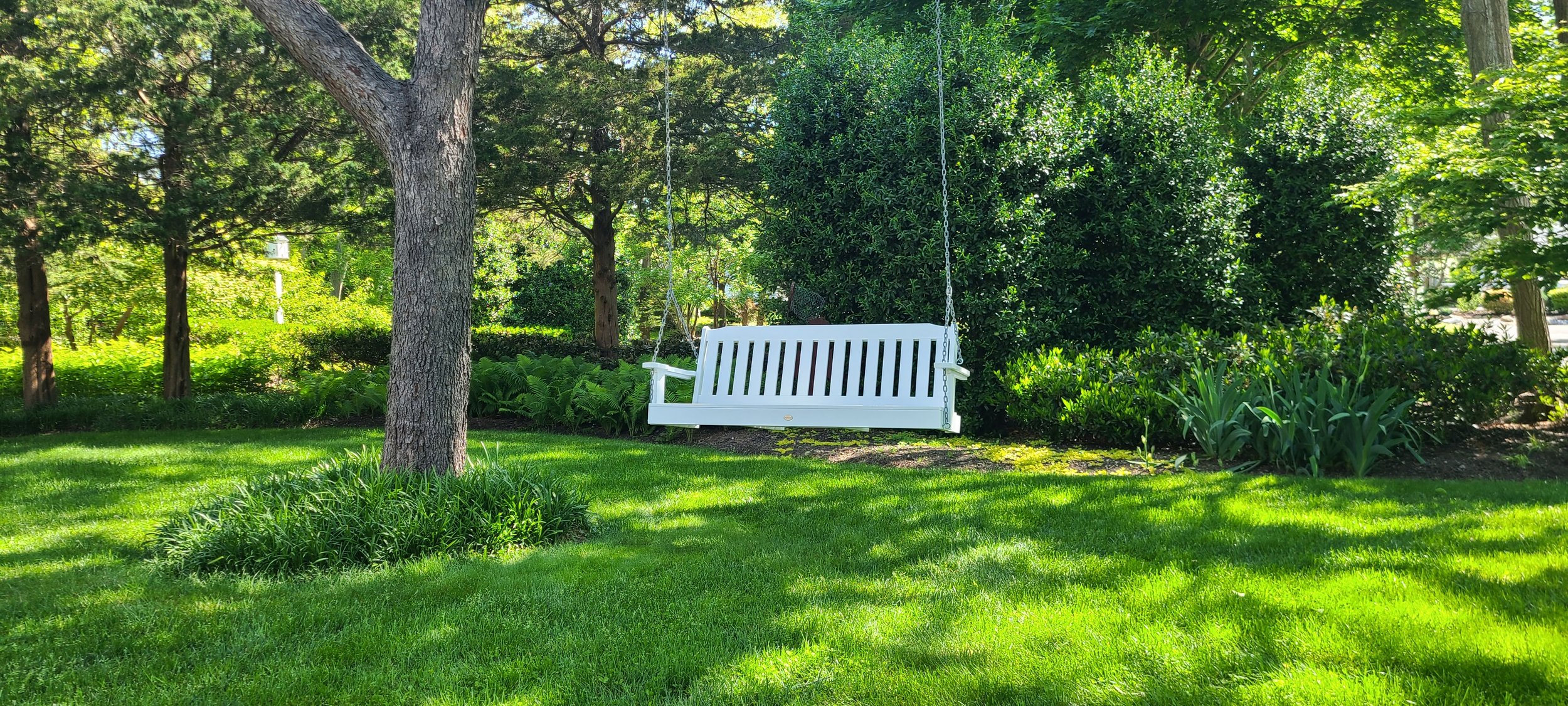 Swing