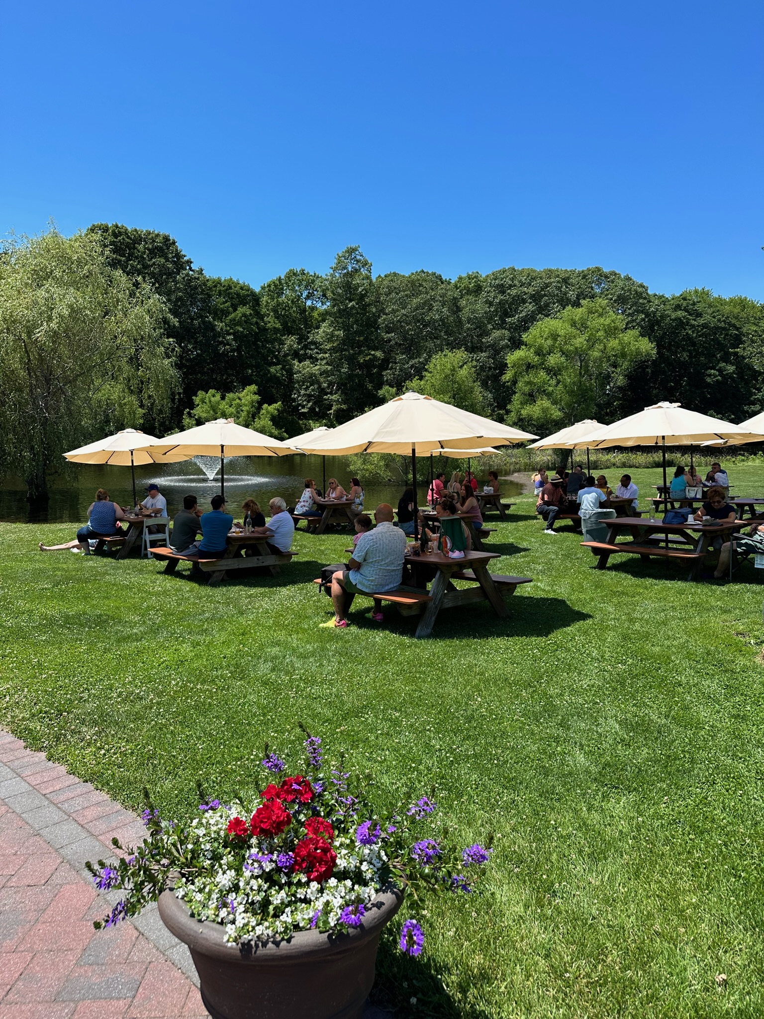 Pugliese Vineyards