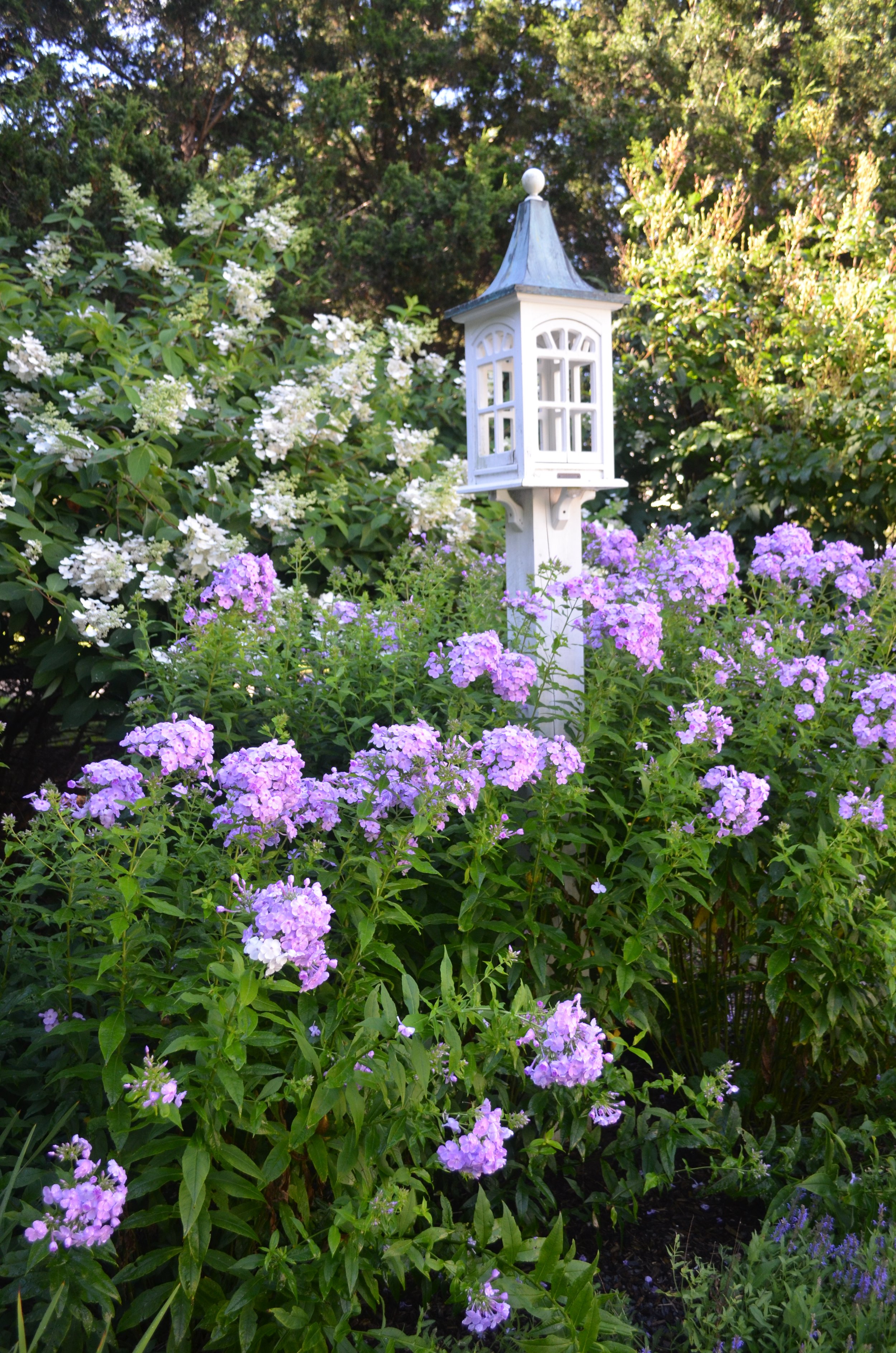 Front detail of Blue Iris Bed and Breakfast