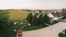 Vineyard and tasting room