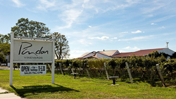Pindar vineyards